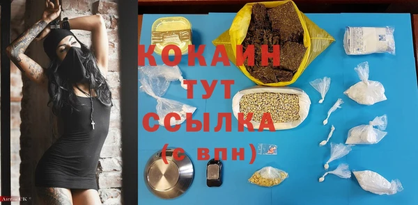 шишки Абаза