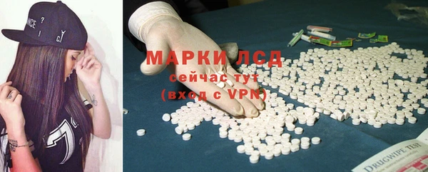 шишки Абаза