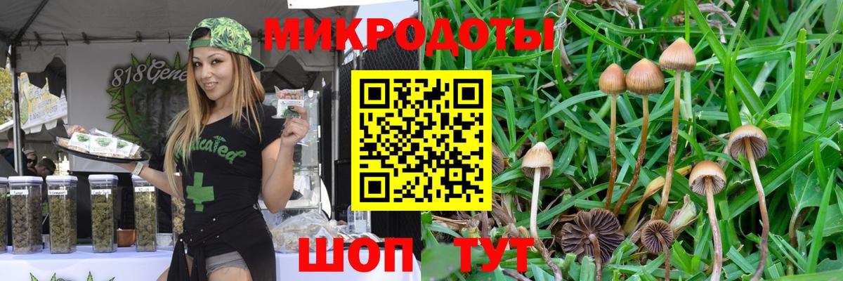 Галлюциногенные грибы MAGIC MUSHROOMS  Вход с VPN  где найти наркотики  Рассказово 